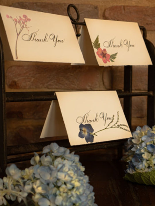 3 assorted Greeting cards