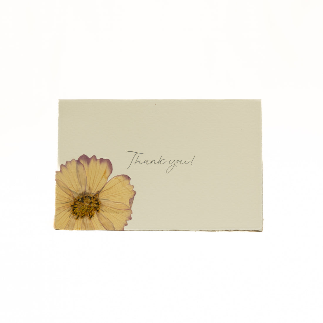 Event Product: Greeting card - Thank you small