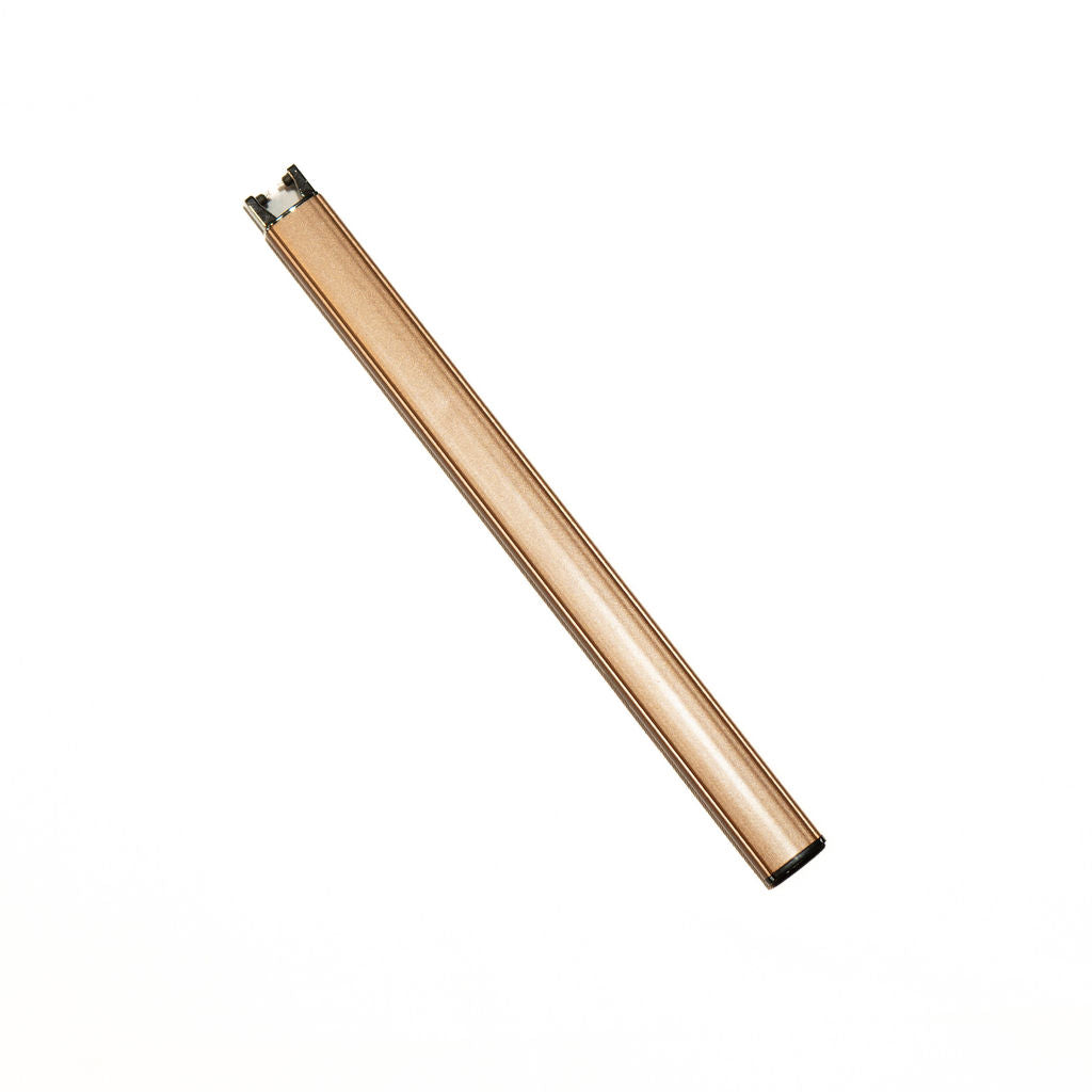 Electric lighter